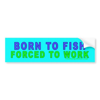 Born To Fish - Forced To Work Bumper Sticker by DellaDesign