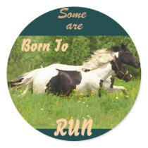 Born To Run Pinto Stickers by WesternWeddings Born To Run Pinto Stickers