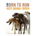 Born to Run POSTER- Vote Obama/ Biden Greyhounds posters by greyhoundsthebook Born to Run POSTER- Vote Obama/ Biden Greyhounds posters