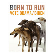 Born to Run POSTER- Vote Obama/ Biden Greyhounds posters