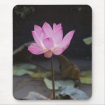 Borneo Grown Mousepads