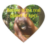 Borneo is the Real Planet of Apes stickers