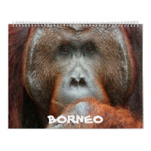 Borneo Rainforest Calendar