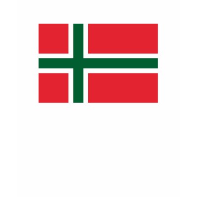Bornholm Amt Flag T-shirt by FlagTshirts