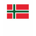 Bornholm Amt Flag T-shirt