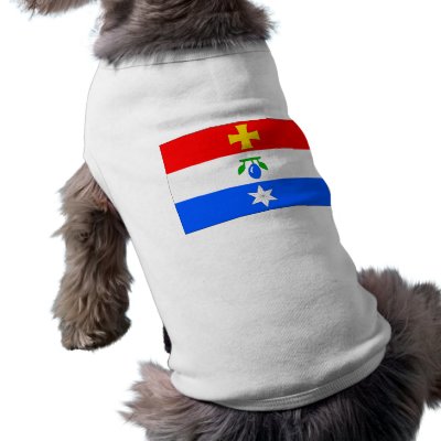 Borotin BK, Czech Pet T Shirt by bestflag