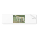 Borzoi (Russian Wolfhound) Bumper Sticker