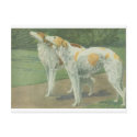 Borzoi (Russian Wolfhound) postcards