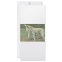 Borzoi (Russian Wolfhound) rack cards