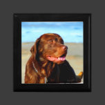 Bosco - Chocolate Labrador Art Jewelry Box