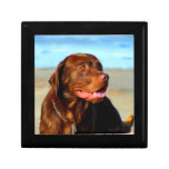 Bosco - Chocolate Labrador Art Jewelry Box