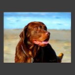Bosco - Chocolate Labrador Art Posters