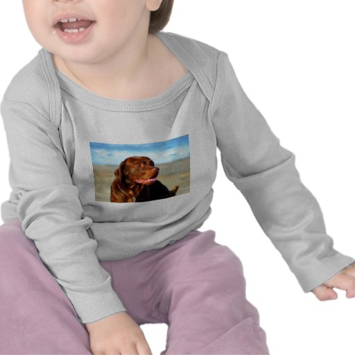 Bosco - Chocolate Labrador Art Tshirt