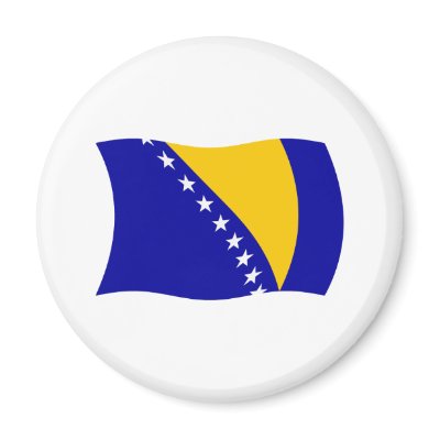Bosnia and Herzegovina Flag Magnet by livingflags