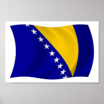 Bosnia and Herzegovina Flag Poster Print
