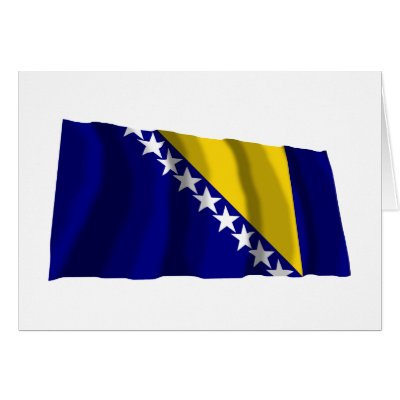 Bosnian Flag Waving
