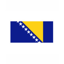 Bosnia FLAG International t-shirts
