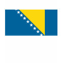 Bosnia Flag T-shirt