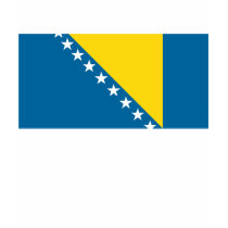 Bosnia Flag T-shirt