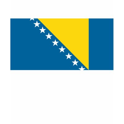 Flag of Nations : Bosnia Flag T-Shirt