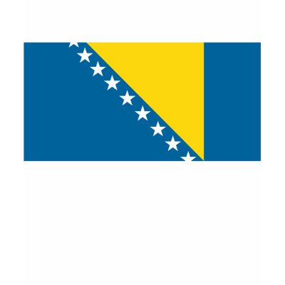 bosnia flag panorama
