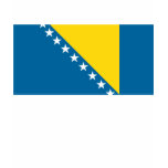 Bosnia Flag T-shirt