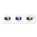 Bosnia-herzegovina Bumper Sticker