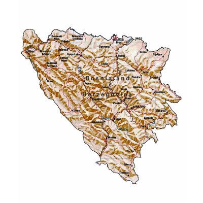 Bosnia Herzegovina Flag and Map T-Shirt T Shirt by FlagAndMap