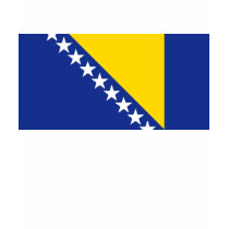 Bosnia Herzegovina Flag and Map T-Shirt