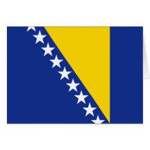 Bosnia Herzegovina Flag Notecard
