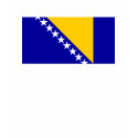 Bosnia Herzegovina Flag t-shirts