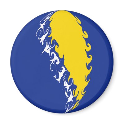 Bosnia Herzegovina Gnarly Flag Magnets by Flagnostic