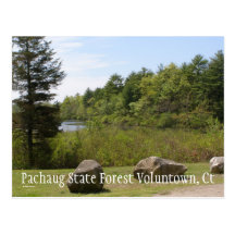 Bosque del estado de Pachaug… Postales