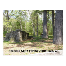 Bosque del estado de Pachaug… Tarjetas Postales