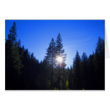 Bosque Sun-Perforado Tarjetas