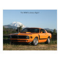 Boss 302, The 'BOSS' Is Always Right!! posters
