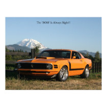 Boss 302, The 'BOSS' Is Always Right!! posters by BLWeary Boss 302, The 'BOSS' Is Always Right!! posters