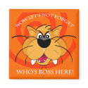Boss Cat magnets