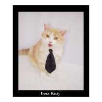 Boss Kitty posters