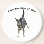 Boss of You Catahoula Dog Beverage Coasters