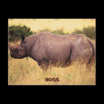 BOSS postcards
