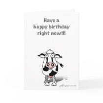 Bossie birthday cow! card