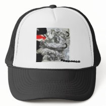 BOSSLION THINKINCAP hats by BOSSLION BOSSLION THINKINCAP hats