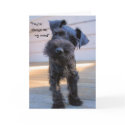 Bossy Little Miniature Schnauzer Puppy Note Card by karykid Bossy Little Miniature Schnauzer Puppy Note Card