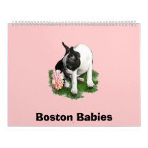 Boston Babies 2 Calendars