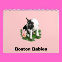 Boston Babies 2 calendars