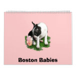 Boston Babies 2 Calendars