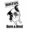 Boston Born & Bred t-shirt shirt
