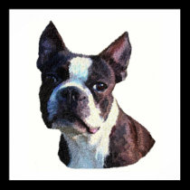 Boston Bull Terrier Posters and Prints