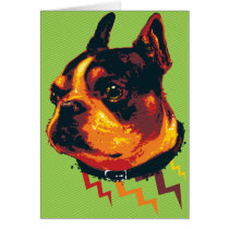 Boston Card cards